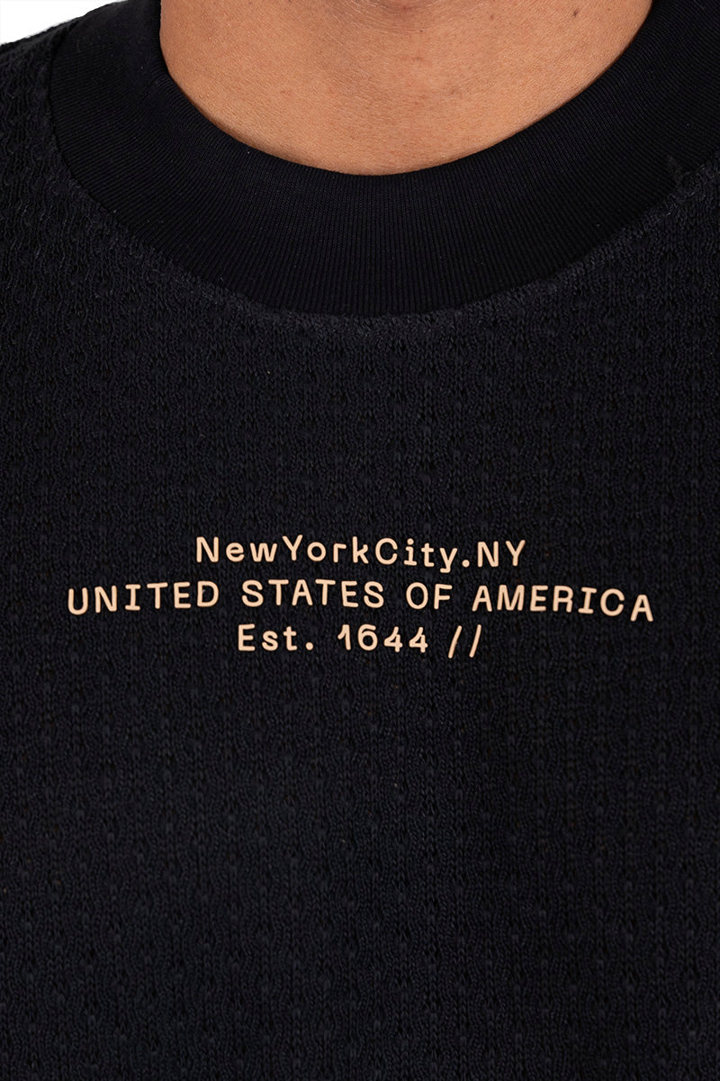 Camiseta textura america